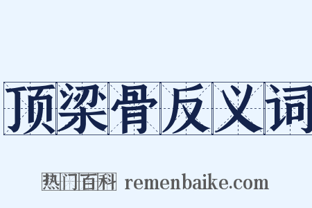 顶梁骨反义词是什么意思的图片